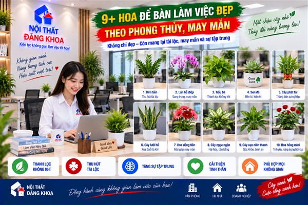Ảnh: Hoa Lan để bàn làm việc mang vẻ đẹp thanh lịch và cao quý
