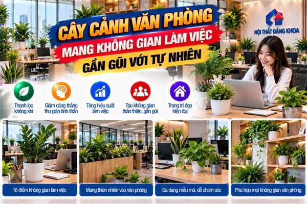 Ảnh: Cây cảnh văn phòng mang không gian làm việc gần gũi với tự nhiên