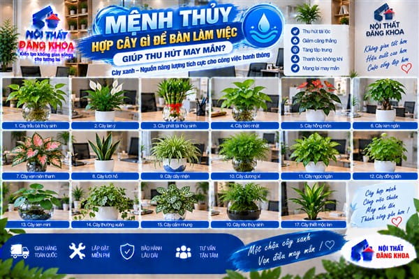 Ảnh: Mệnh Thủy hợp cây gì để bàn làm việc giúp thu hút may mắn